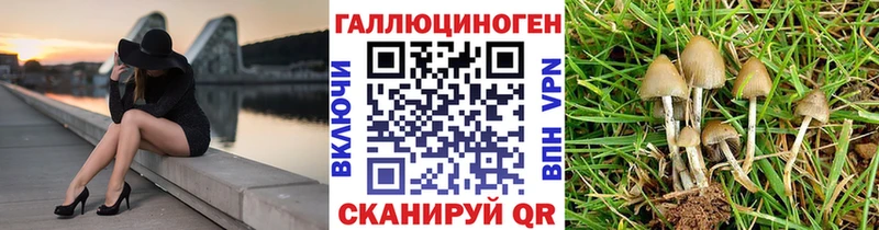 Псилоцибиновые грибы мицелий Купить Еманжелинск